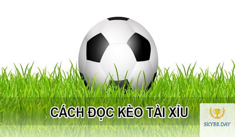 Hướng dẫn kèo tài xỉu