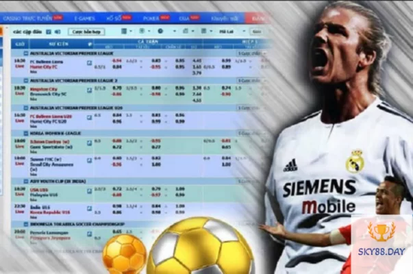 Tìm các kèo bóng đá dễ chơi