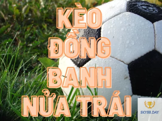 Tổng quan về kèo đồng nửa