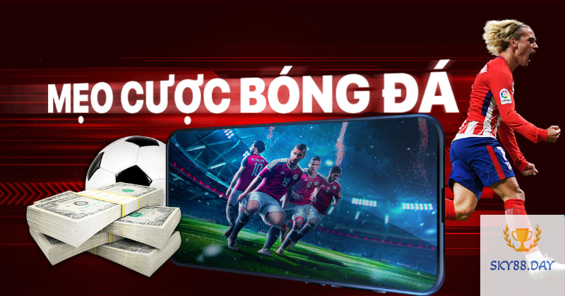 Kinh nghiệm cá cược bóng đá