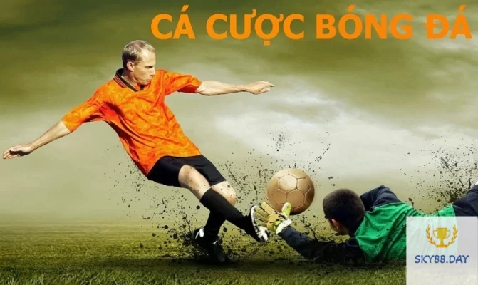 Lưu ý khi cá cược bóng đá