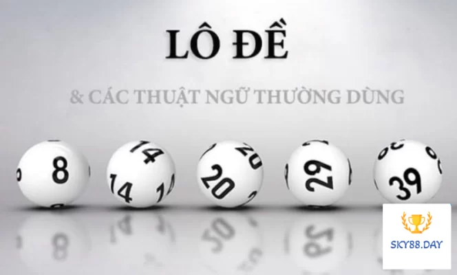 Thuật ngữ soi cầu