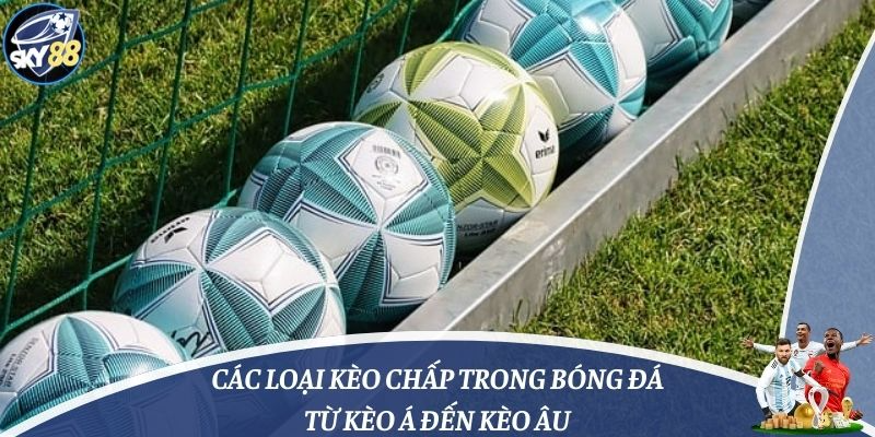 Các Loại Kèo Chấp Trong Bóng Đá: Từ Kèo Á Đến Kèo Âu