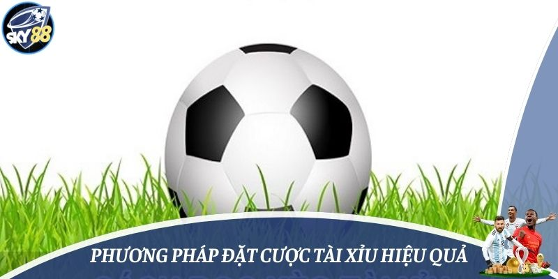 Phương pháp đặt cược tài xỉu hiệu quả