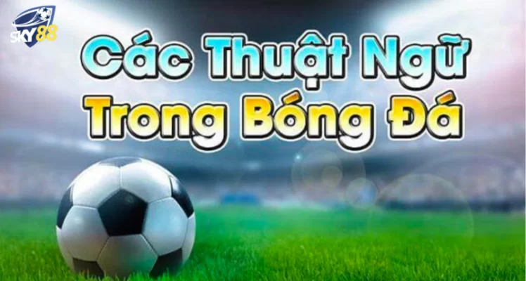 thuật ngữ trong kèo tài xỉu bóng đá
