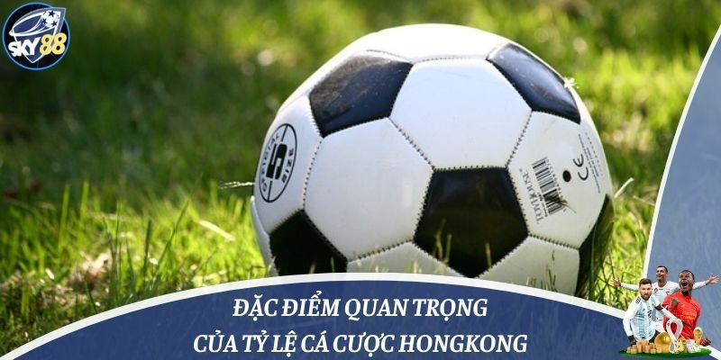 Đặc điểm quan trọng của tỷ lệ cá cược Hongkong