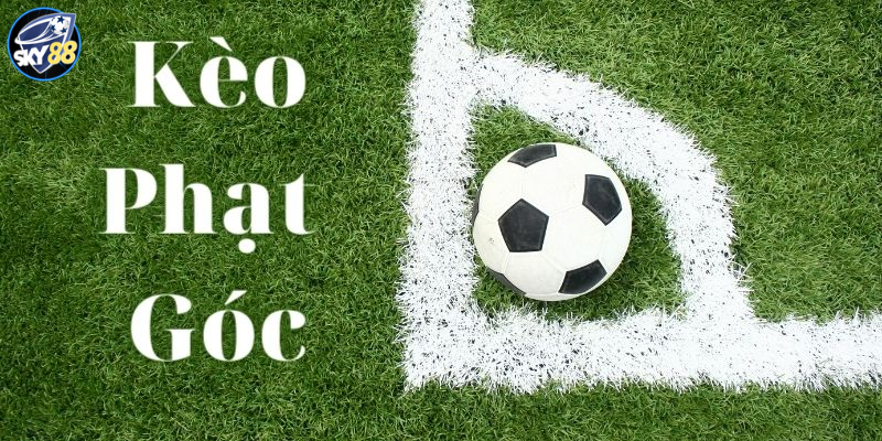 Bật Mí Nhanh 3 Cách Soi Kèo Phạt Góc Chuẩn 2024