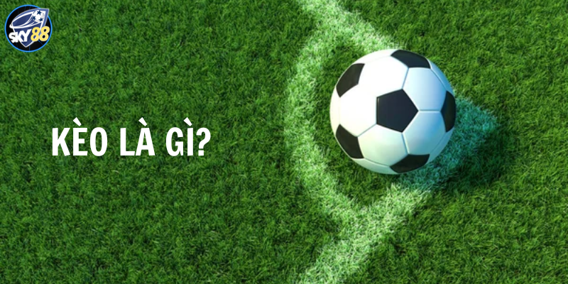 Kèo Là Gì Trong Cá Cược Bóng Đá? 4 Loại Kèo Phổ Biến